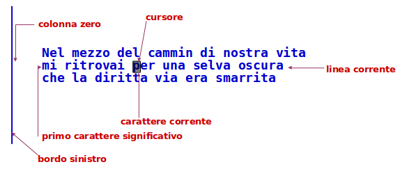 Vi Terminologia